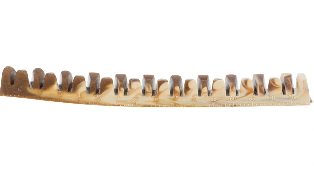 Denta Fun Veggie Tyggeben 22 cm (vegetabilsk) - stort vegansk tyggeben til hunde